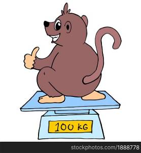 a weasel is weighing its weight. cartoon illustration sticker mascot emoticon