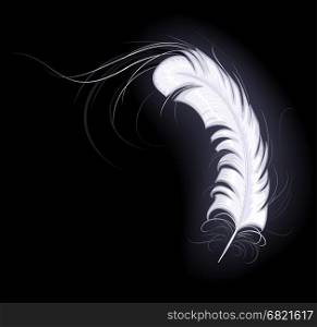 a white feather of the angel with long easy hairsprings shines on a dark background&#xA;