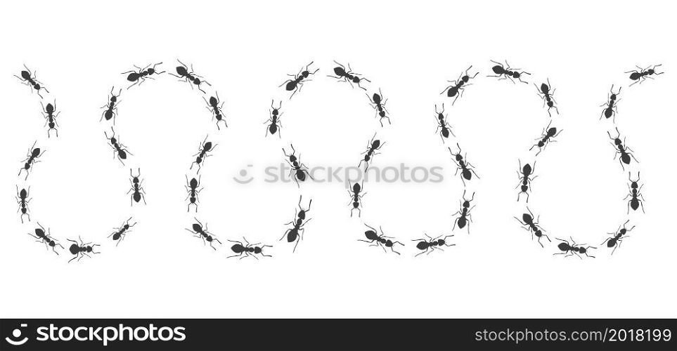 A winding trail of ants. Insects march along the line. Vector illustration. A winding trail of ants. Insects march along the line. Vector