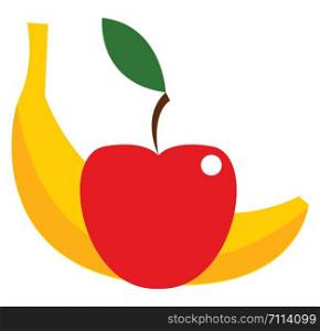 A yellow banana and a red apple, vector, color drawing or illustration.