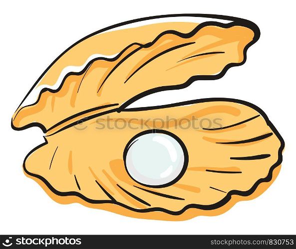 A yellow-colored cartoon oyster with a white-colored pearl vector color drawing or illustration