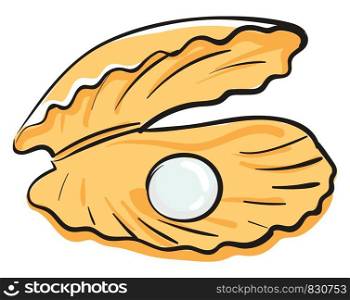 A yellow-colored cartoon oyster with a white-colored pearl vector color drawing or illustration