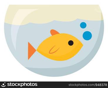 A yellow fish in a tank has an oval-shaped flat body, triangular tail, oval fins, and forms bubbles while swimming set isolated on white background, vector, color drawing or illustration.