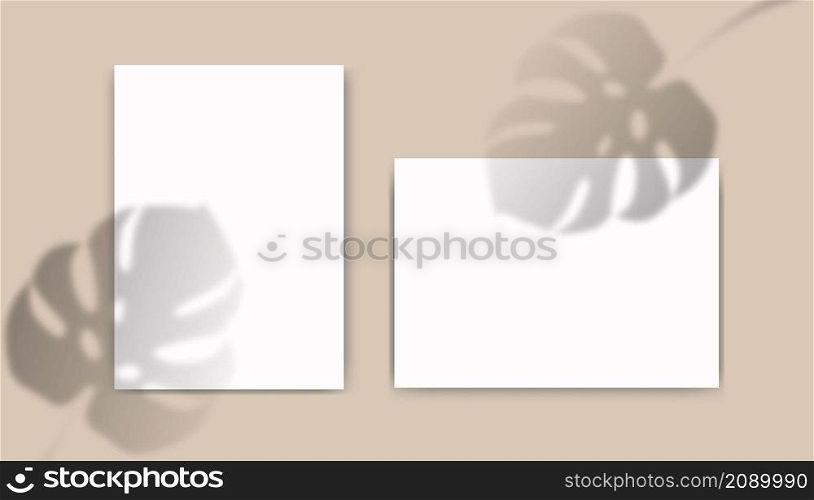 A4 paper mockup with overlay leaf shadow from window. Tropical monstera transparent reflection on beige background. Realistic vector template for poster, flyer and post. A4 paper mockup with overlay leaf shadow from window. Tropical monstera transparent reflection on beige background. Realistic vector template for poster, flyer and post.