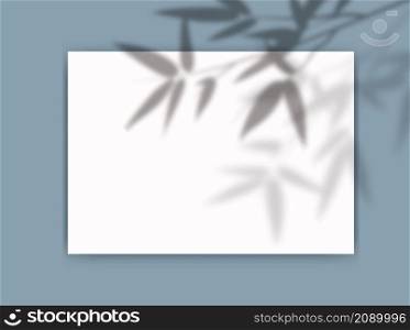 A4 paper mockup with overlay leaf shadow from window. Bamboo branch transparent reflection on blue background. Realistic vector template for poster, flyer and post. A4 paper mockup with overlay leaf shadow from window. Bamboo branch transparent reflection on blue background. Realistic vector template for poster, flyer and post.