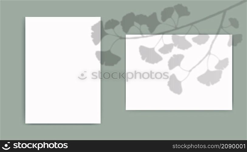 A4 paper mockup with overlay leaves shadow from window. Ginkgo biloba transparent reflection on green background. Realistic vector template for poster, flyer and post.