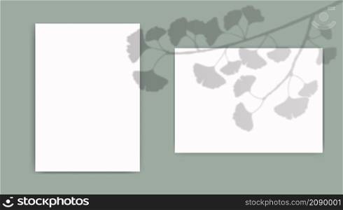 A4 paper mockup with overlay leaves shadow from window. Ginkgo biloba transparent reflection on green background. Realistic vector template for poster, flyer and post.