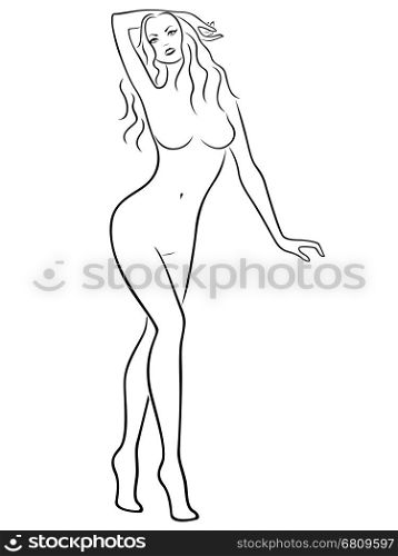 Abstract attractive young graceful women, vector outline