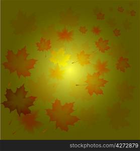 Abstract autumn background from flying leaves of a maple