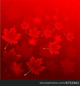 Abstract autumn background from flying leaves of a maple