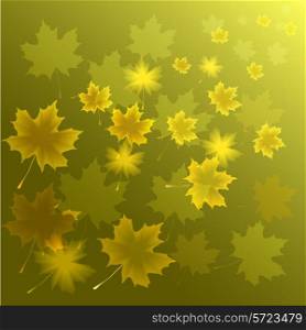 Abstract autumn background from flying leaves of a maple&#xA;
