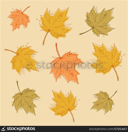 Abstract autumn background with colorful leaves. Vector.