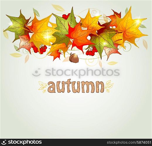 Abstract autumn background with maple leaves and acorn
