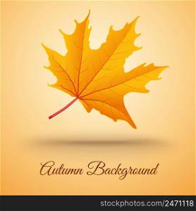 Abstract autumn floral template with inscription and falling orange maple leaf on light background vector illustration. Abstract Autumn Floral Template