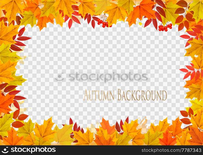 Abstract autumn frame with colorful leaves on transparent background. Vector