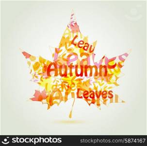 Abstract autumn maple leaf with decorative typography