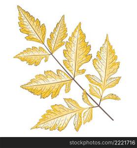 Abstract autumn yellow leaves retro design illustration.