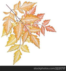 Abstract autumn yellow leaves retro design illustration.