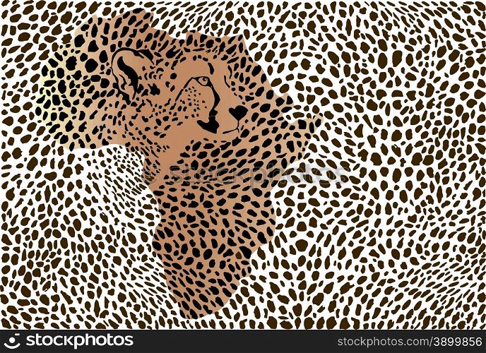 Abstract background of the African cheetah