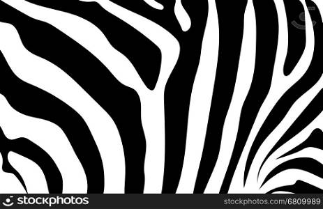 Abstract background skin of a zebra, white and black color. Wild Animals.