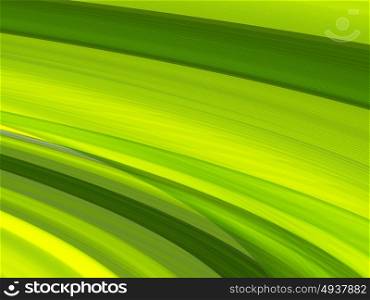 abstract background, vector. Vector striped lines. EPS10 with transparency. Abstract composition with curve lines. Striped lines for ecology theme background. Abstract leaf, macro.