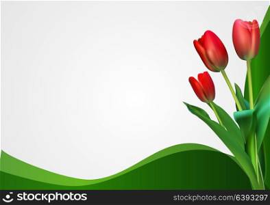 Abstract Backgroundn with Tulips Flowers. Vector Illustration EPS10. Abstract Backgroundn with Tulips Flowers. Vector Illustration