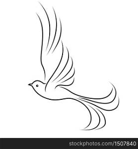 Abstract beautiful flying bird, black outline isolated on the white background