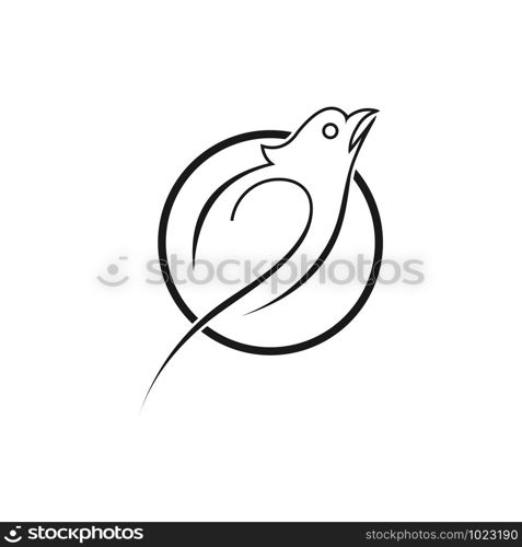 Abstract Bird Logo design vector template