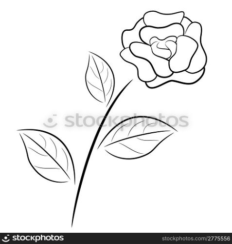 Abstract black and white rose in outline drawing style.