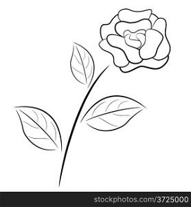 Abstract black and white rose in outline drawing style.