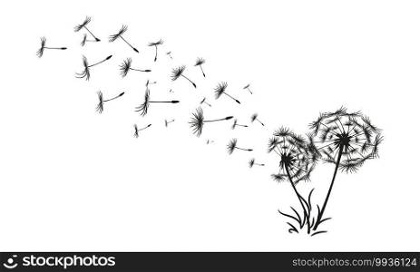 Abstract black dandelion, dandelion with flying seeds illustration