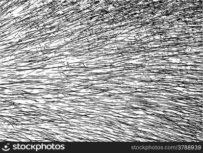 Abstract black line and fur on white background