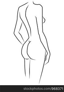 Abstract body of elegant and slender woman isolated on white background, side view, hand drawing vector outline