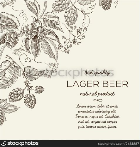 Abstract botanical floral sketch template with text and herbal hop branches on light background vector illustration. Abstract Botanical Floral Sketch Template