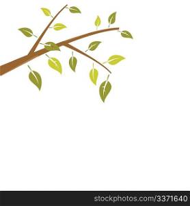 Abstract branch tree is isolated on white background. Vector