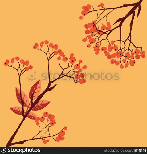 Abstract branches of rowan tree with berries, mountain ash.