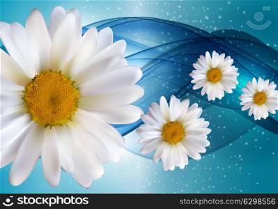 Abstract Chamomile Flowers Natural Spring and Summer Background 3D Realistic Vector Iillustration EPS10. Abstract Chamomile Flowers Natural Spring and Summer Background