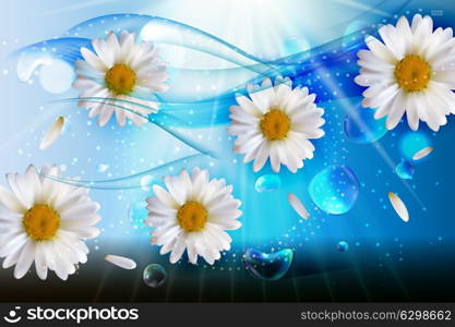 Abstract Chamomile Flowers Natural Spring and Summer Background 3D Realistic Vector Iillustration EPS10. Abstract Chamomile Flowers Natural Spring and Summer Background