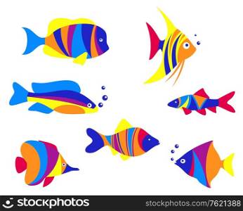 Abstract colorful aquarium fishes set isolated on white background