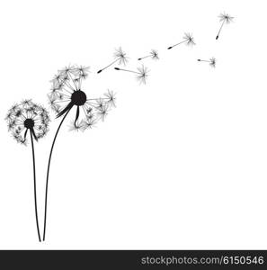 Abstract Dandelion Background Vector Illustration EPS10. Abstract Dandelion Background Vector Illustration