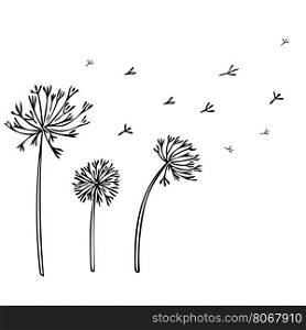 Abstract Dandelion Background with black flowers on white background.. Abstract Dandelion Background with black flowers on white background. Vector Illustration
