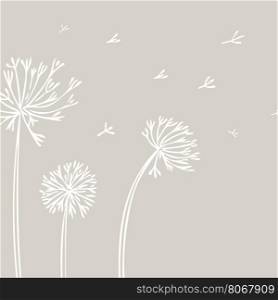 Abstract Dandelion Background with white flowers on beige background.. Abstract Dandelion Background with white flowers on beige background. Vector Illustration