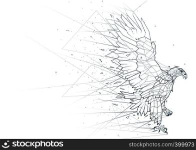Abstract Eagle Low Poly Wireframe