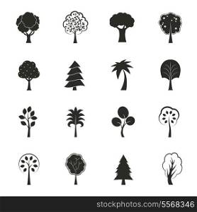 Abstract ecology growth icons set pine fir oak and other trees isolated vector illustration