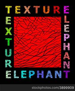 Abstract elephant skin texture