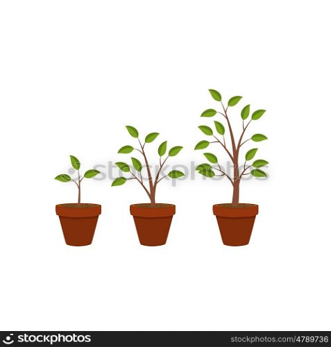 Abstract Flat Nature Plants Growth Graphic Design Background, Vector Illustration Eps10