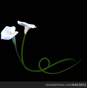 Abstract Floral Background with Calla Flower. Vector Illustration EPS10. Abstract Floral Background with Calla Flower. Vector Illustratio