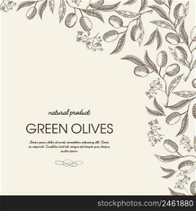 Abstract floral hand drawn template with text and branches with green olives on light background vector illustration. Abstract Floral Hand Drawn Template