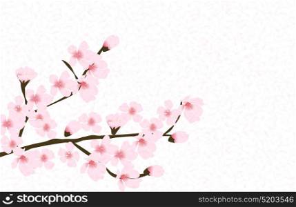 Abstract Floral Sakura Flower Japanese Natural Background Vector Illustration EPS10. Abstract Floral Sakura Flower Japanese Natural Background Vector
