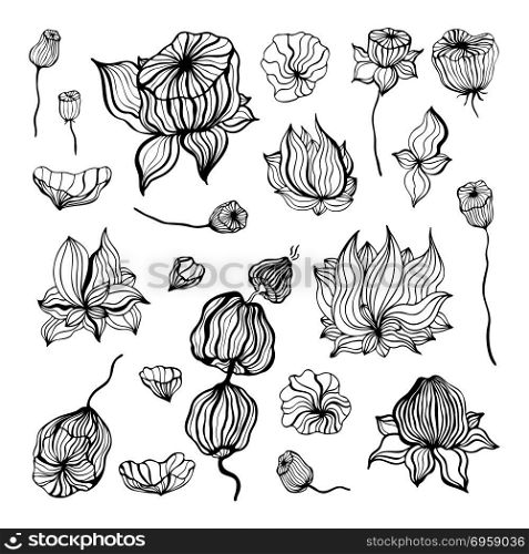 Abstract Flower. Vector Hand Drawn illustration, isolated. Abstract Flower. Hand Drawn Boho ornament. Vector illustration